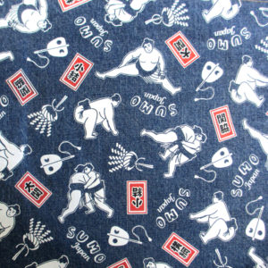 相撲トート画像アップ